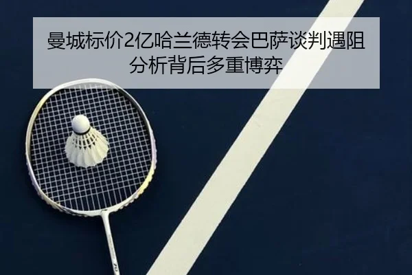 man-cheng-biao-jia-yi-ha-lan-de-zhuan-hui-ba-sa-tan-pan-yu-zu-fen-xi-bei-hou-duo-zhong-bo-yi-2-391.jpg